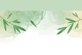 微笑照相馆又来啦！握住夏日的光，定格你的专属时刻！图片