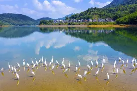 15个优秀案例！广州第一批美丽河湖出炉图片