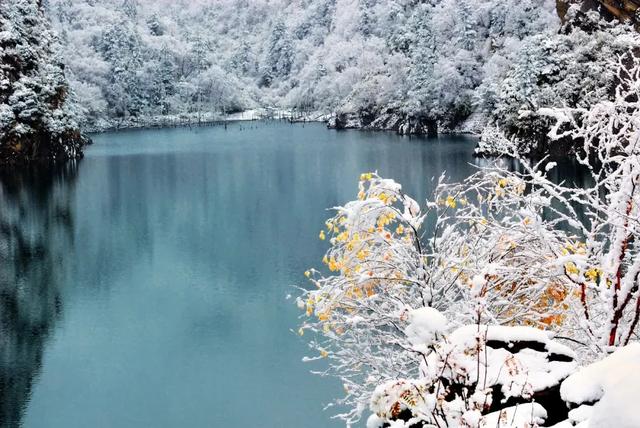冬日福利!这些景区有优惠