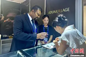 南博会“朋友圈”逐渐扩大 新朋老友共觅商机图片
