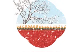 科普日历｜二十四节气·大雪已至，岁暮天寒图片