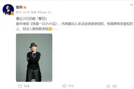“琛”浸式对话行业律师：电视剧配乐讲究多，自媒体短视频也要当心，聊聊音乐版权那些事儿图片