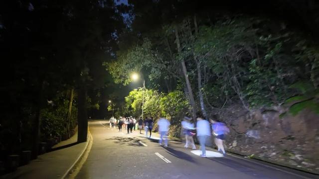 限量招募！鼎湖山夜爬来了！邀你共赴山海之约↘
