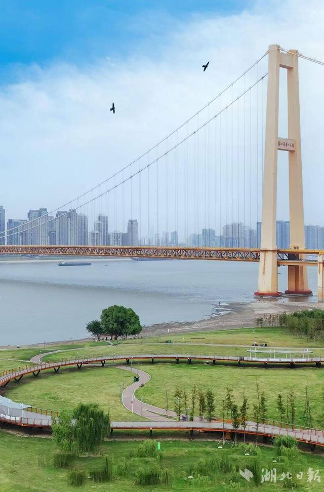 我的长江我的家｜洪山江滩：家门口的野趣花园