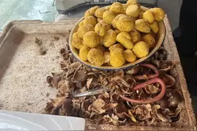 新鲜板栗大量上市！不少人已尝鲜图片