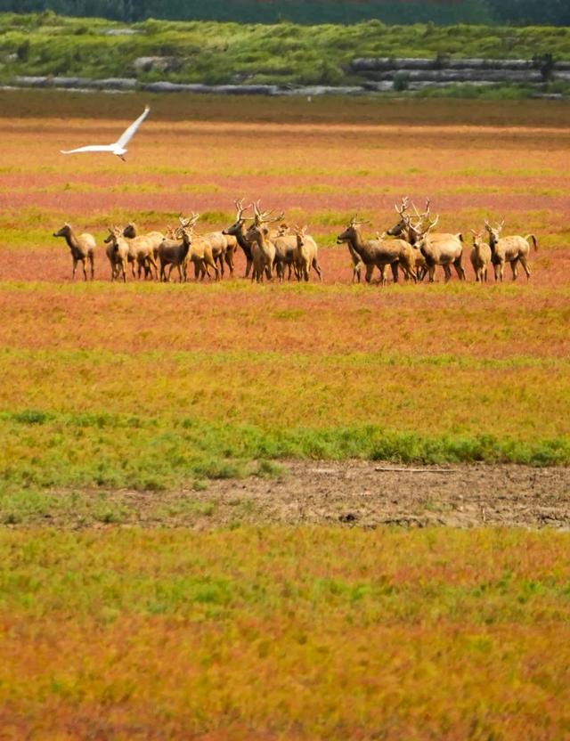 大雪了，你什么时候回盐城啊？