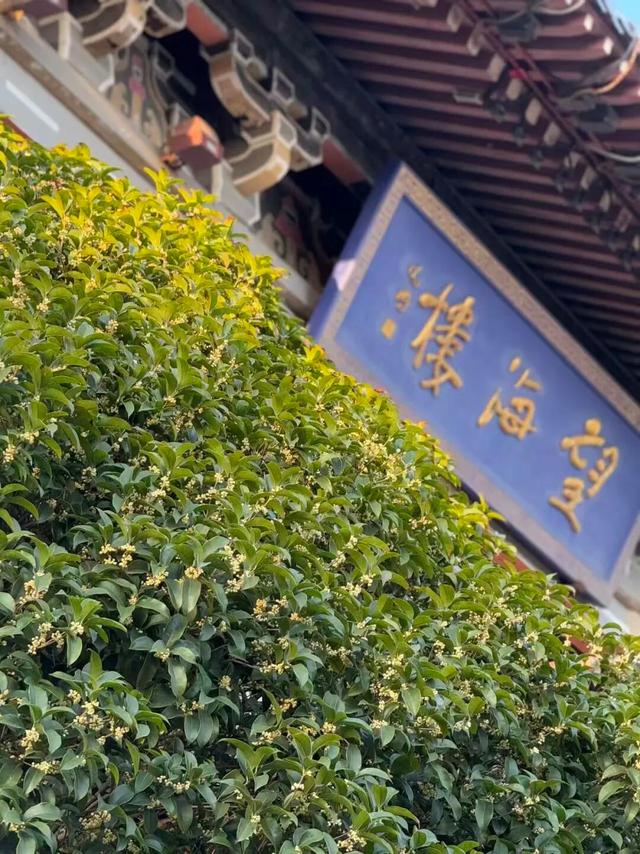 这声“对不起”，泰州人等了半个月！