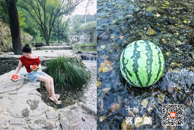 十堰深山里藏着会“游动”的鱼灯，美到窒息！