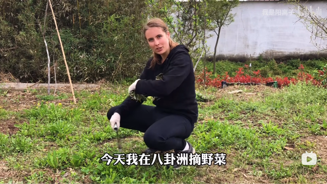 在南京当“岛主”是怎样一种体验？