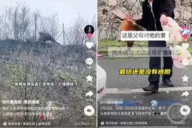 春节返程众生相：有的花35元餐车觅座，有的5次换乘节省4000元图片