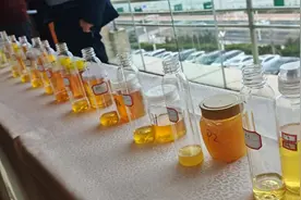 烟台评出“十佳”蜂蜜产品图片