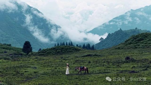 山海交响丨来乐山清凉之地,秒切“空调模式”!