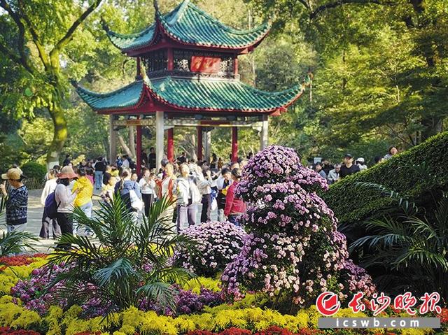 在长沙捡个秋 | 组图