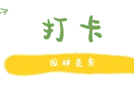 来崇明泡酒店吧！开启“康养”+“文旅”度假新玩法~图片