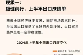 谁是出口“榜一”？2024年上半年中国“出海”超全图谱图片