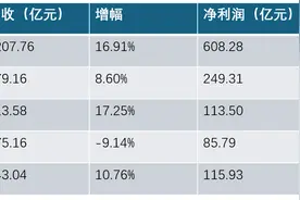 山西汾酒重回白酒行业营收前三图片
