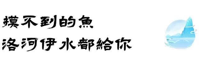 “我想离开浪浪山”，去神都洛阳看一看