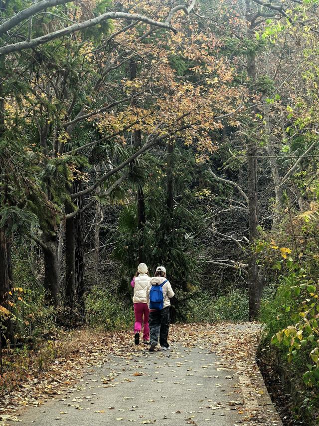晚潮｜长乐初冬暖融融