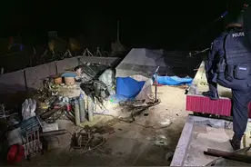 “惊牛”失控见人就撞 警方果断击毙图片