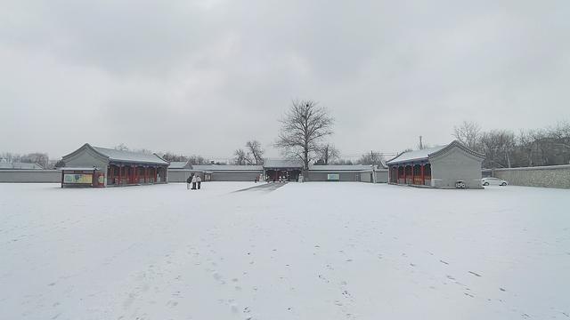 京城初雪如约而至！雪落无声，人游有影