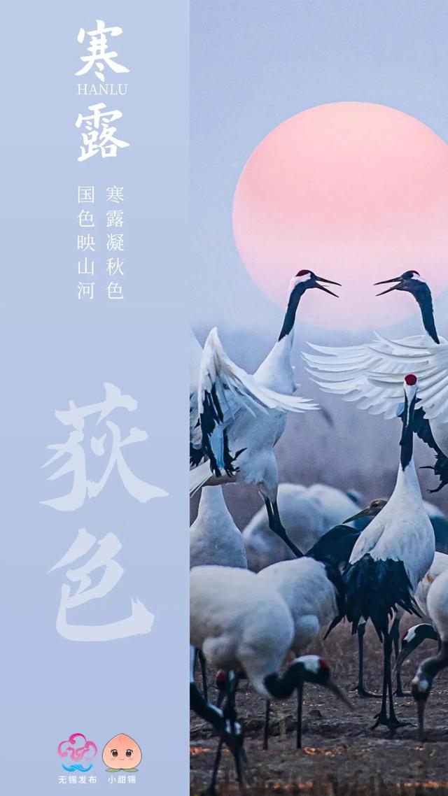 再 致 盐 城