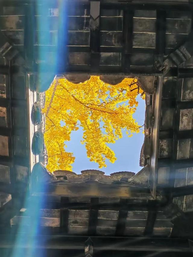 突然全黄了！无锡人注意！