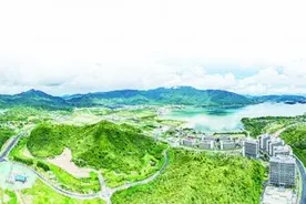 深圳大鹏新区上半年经济持续向好图片