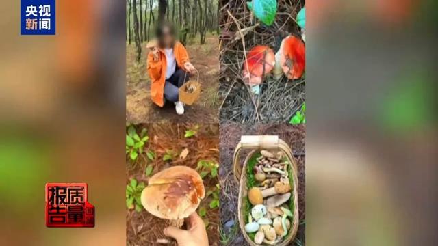 一天超万名游客进山！这个旅游项目爆火，专家警告：一旦破坏就“断子绝孙”了