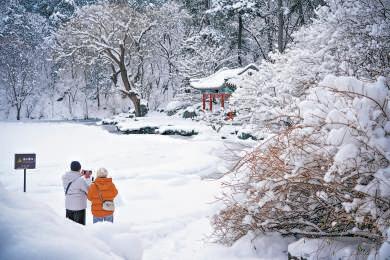 北京：初雪壮美如画 游客络绎不绝