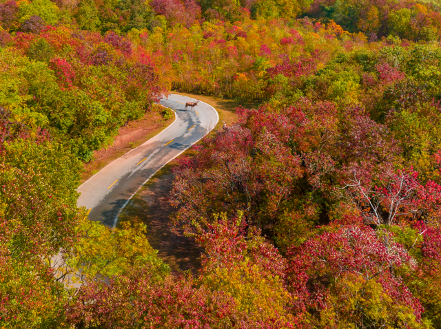 组图|黄海1号，331公里的秋日画廊