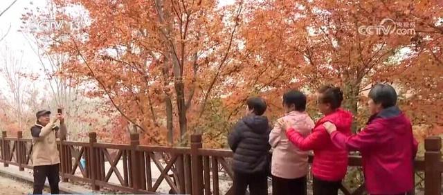 特色赏秋游热潮澎湃 “文旅+”新场景新业态激发“秋日经济”活力