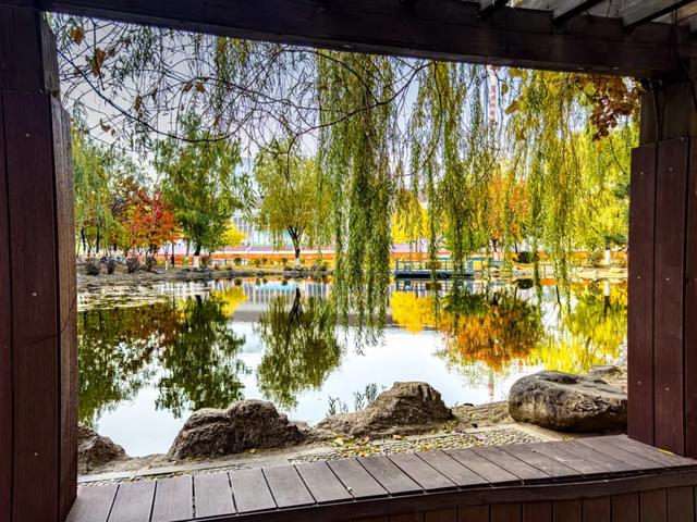 沈阳这些地方太美了!赏秋倒计时,错过等一年!