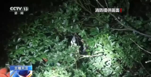 女子户外作业不慎失足坠崖致骨折，登山前这些安全措施要牢记