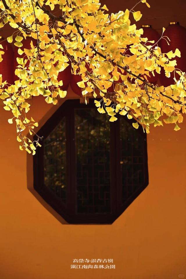 当代人需要的情绪价值，镇江给你！