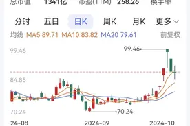 赛力斯前三季净利35亿元至41亿元 拟定增81亿元买超级工厂图片