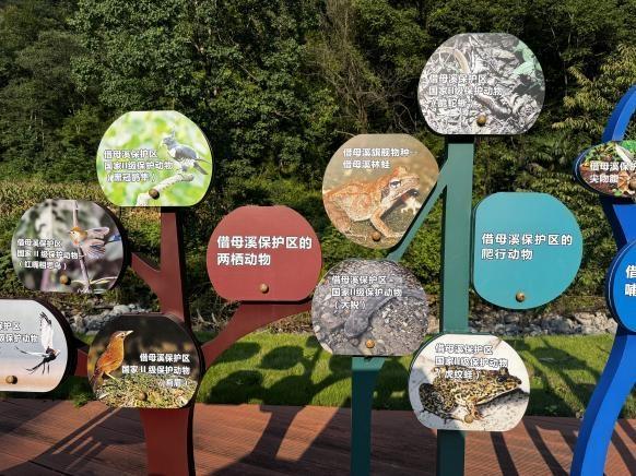 沅陵借母溪景区：溪畔听流水 畅享“森呼吸”