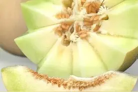 【文化·生活】舌尖上的瓜州图片