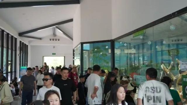 人气旺！鞍山夏日旅游市场热力全开