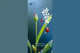 惊蛰至，万物蓬勃生长！未来天气，湖南人还得注意……图片