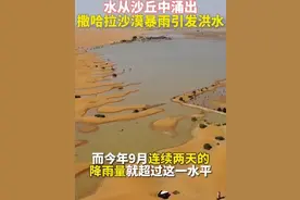 撒哈拉沙漠下暴雨，雨量之大数十年来少见！部分地区发洪水，已造成20多人死亡图片