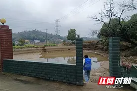 株洲市石峰区：“抢鱼”记——看街道综治中心如何“捞”出和谐图片