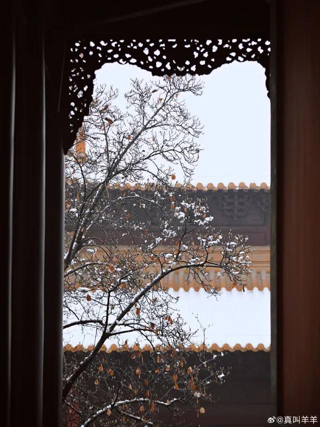 金陵飞雪讯，静待秦淮妆