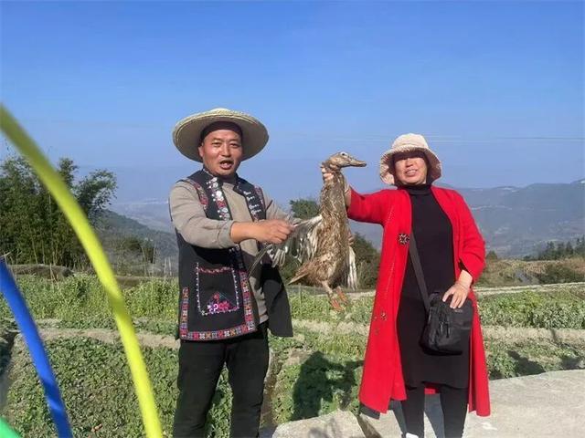 冬暖花开游云南｜红河冬日视觉盛宴等你开启