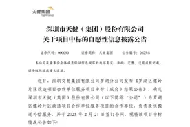 天健集团中标罗湖螺岭片区城中村改造项目，利润率为4%图片