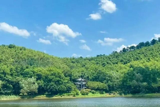 免费、半价、优惠！南京这些景区官宣！