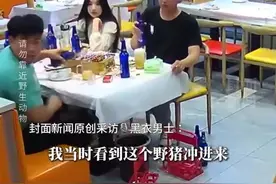 一野猪突然冲进饭店，俩顾客放下碗筷就上前驱赶，"本人练过散打，能确保自身安全"图片
