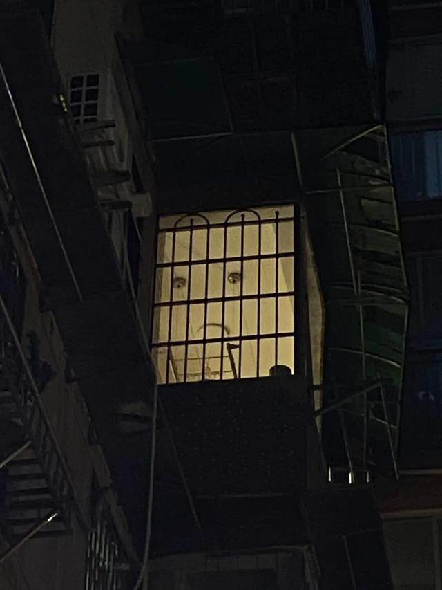 想暴言，同居是没有生活方式可言的。