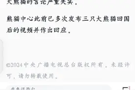 熊猫中心辟谣：熊猫美香一家未被虐待图片