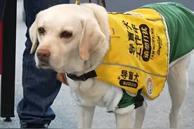 上海地铁这一幕刷屏！网友：看哭了图片