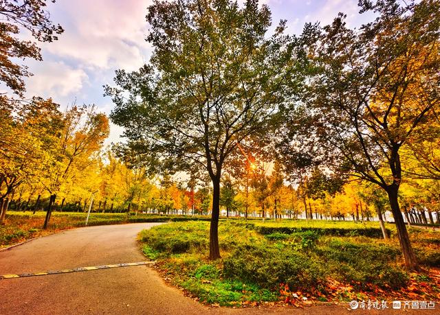 沂河岸边秋景美，抬眸尽是好风光